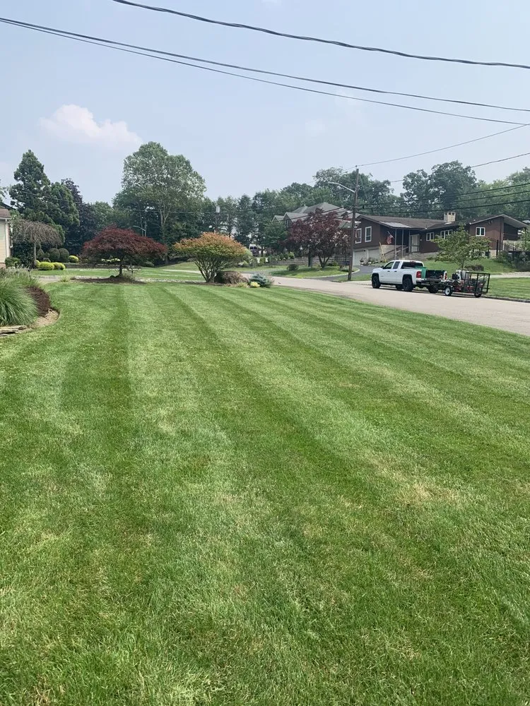Local yard cleanup service for year-round maintenance across Cedar Grove, NJ - MC Landscape & Design