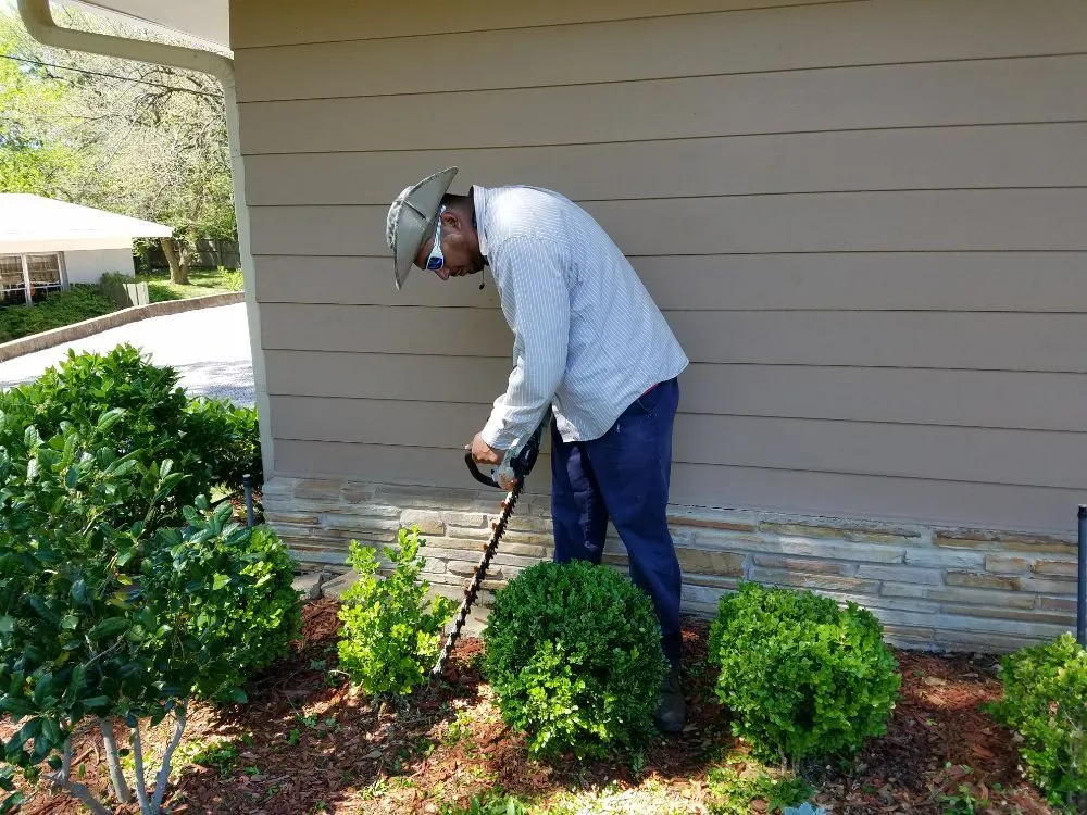 Affordable outdoor landscaping in Sherman, TX - MC Landscape and Tree Services