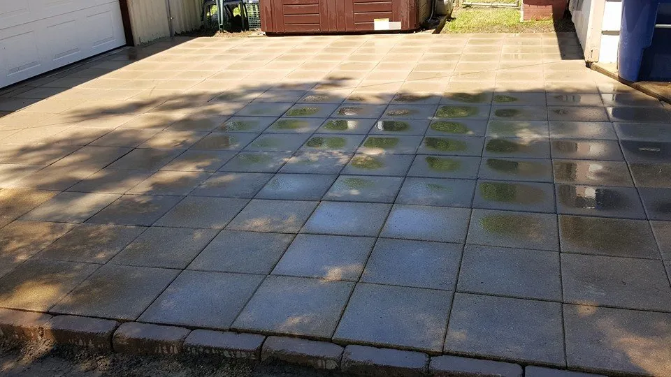 Professional landscape design in Sherman, TX by MC Landscape and Tree Services