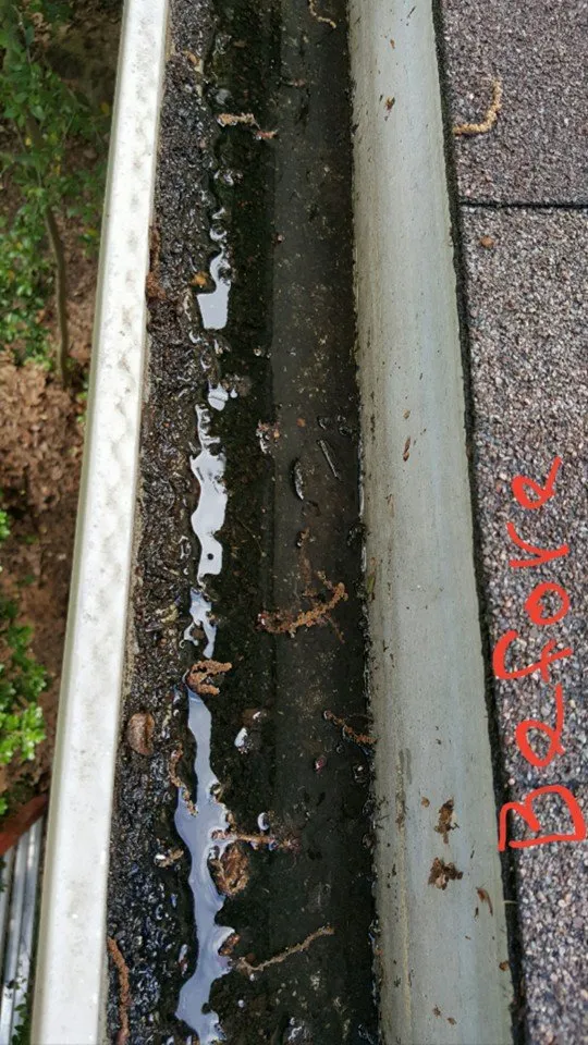 Affordable landscaping services in Sherman, TX - MC Landscape and Tree Services