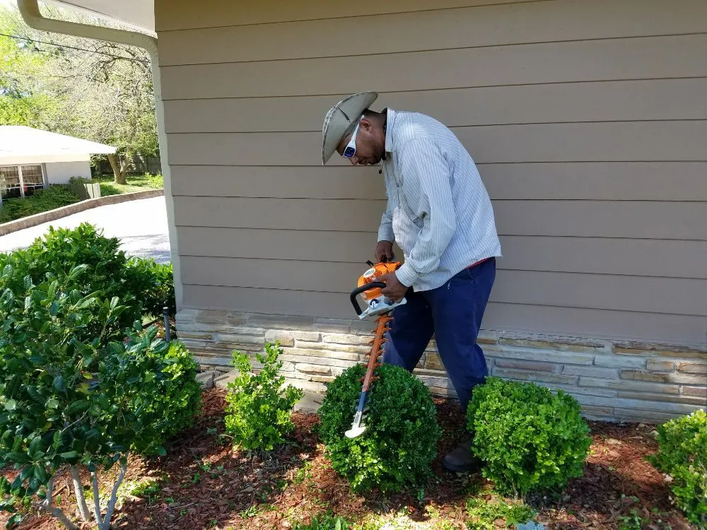 Top-rated landscape design for outdoor upgrades across Sherman, TX - MC Landscape and Tree Services