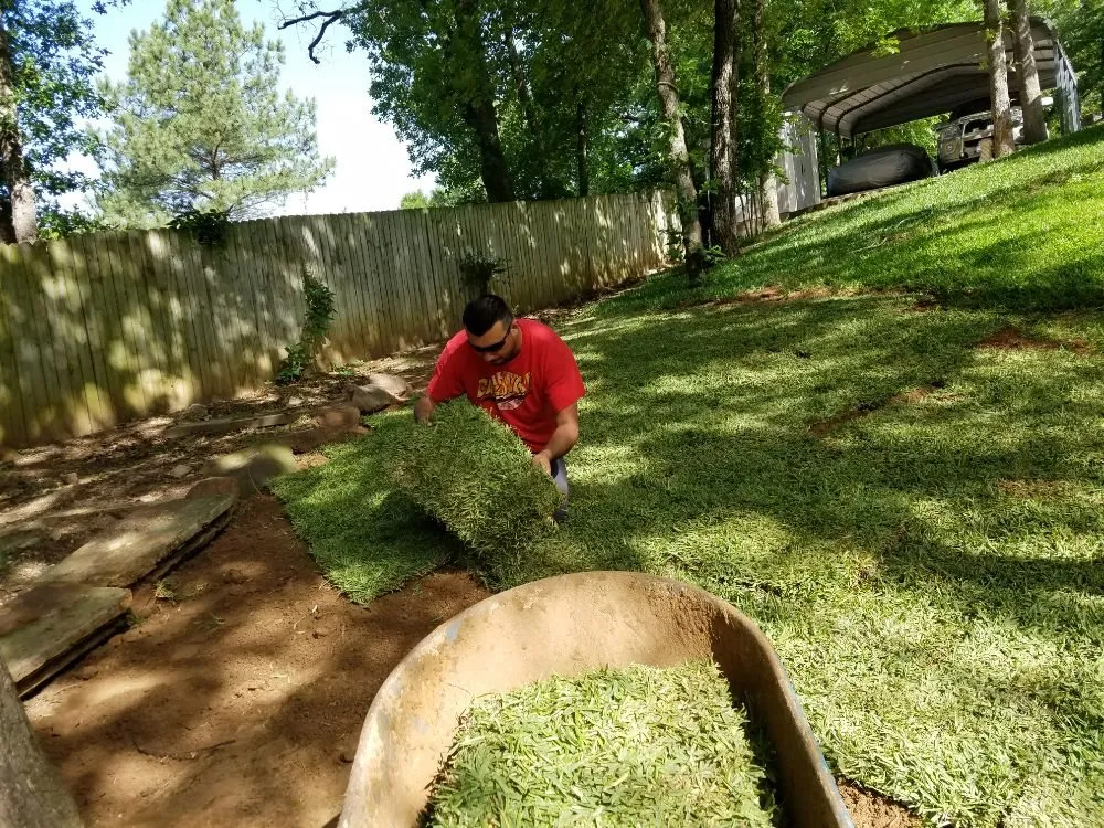 Reliable lawn mowing service experts serving Sherman, TX - MC Landscape and Tree Services