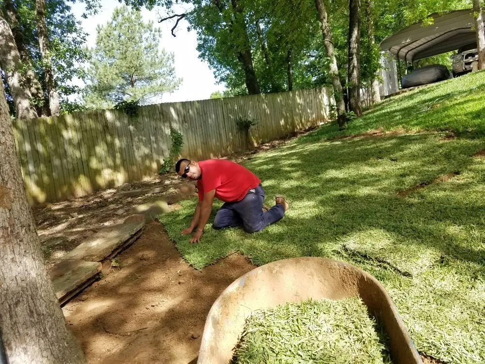 Professional landscaping services experts serving Sherman, TX - MC Landscape and Tree Services