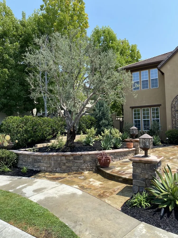 Custom yard cleanup service experts serving Mission Viejo, CA - Mc landscape