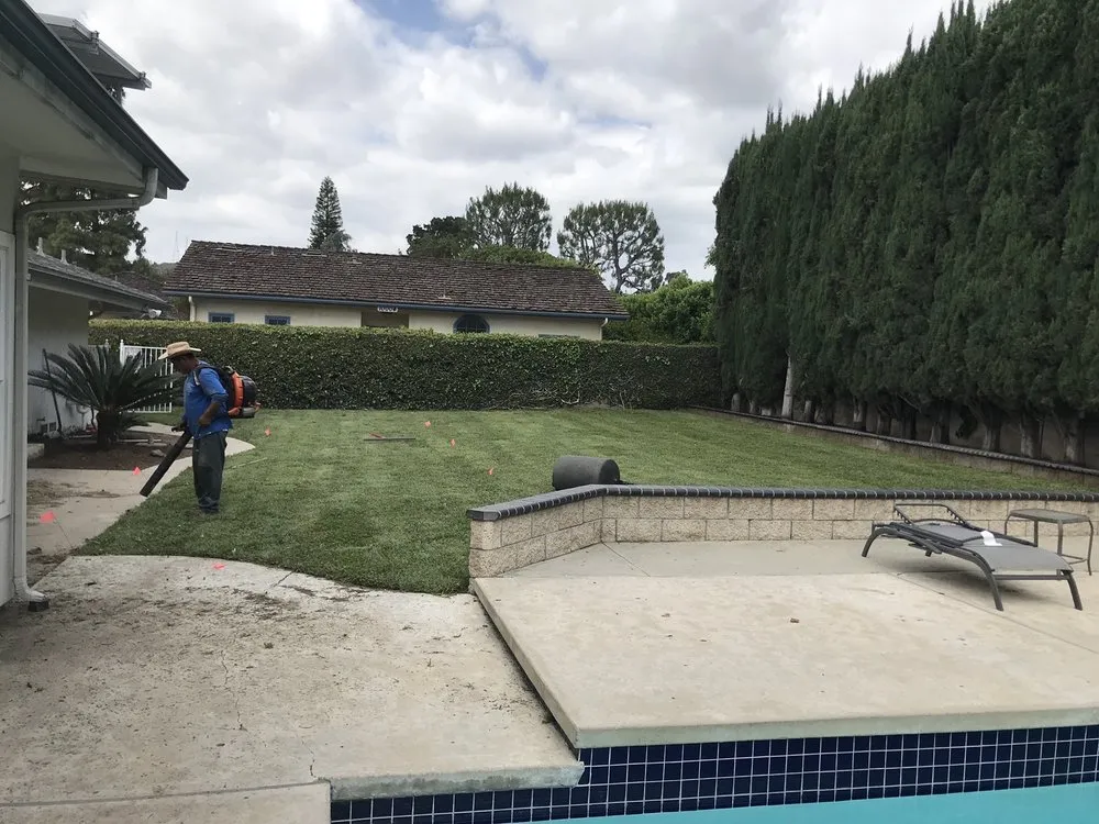 Top-rated yard cleanup service for residential properties in Mission Viejo, CA by Mc landscape