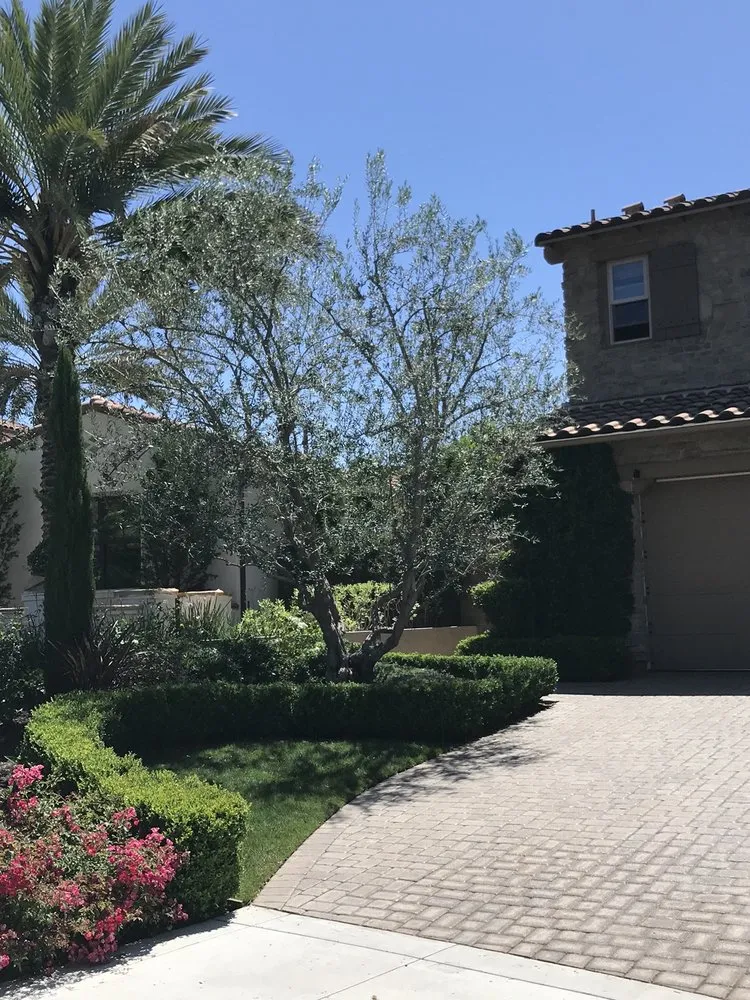 Local outdoor landscaping near you in Mission Viejo, CA by Mc landscape