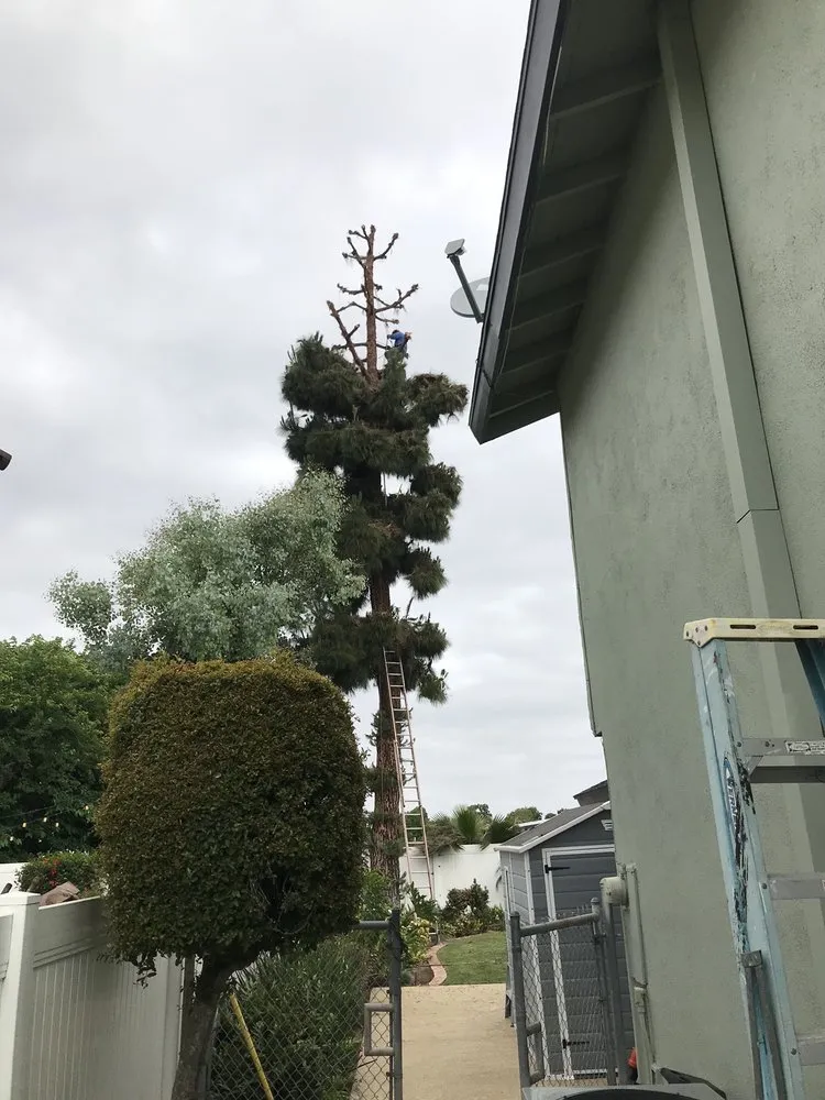 Professional lawn mowing service for residential properties in Mission Viejo, CA by Mc landscape