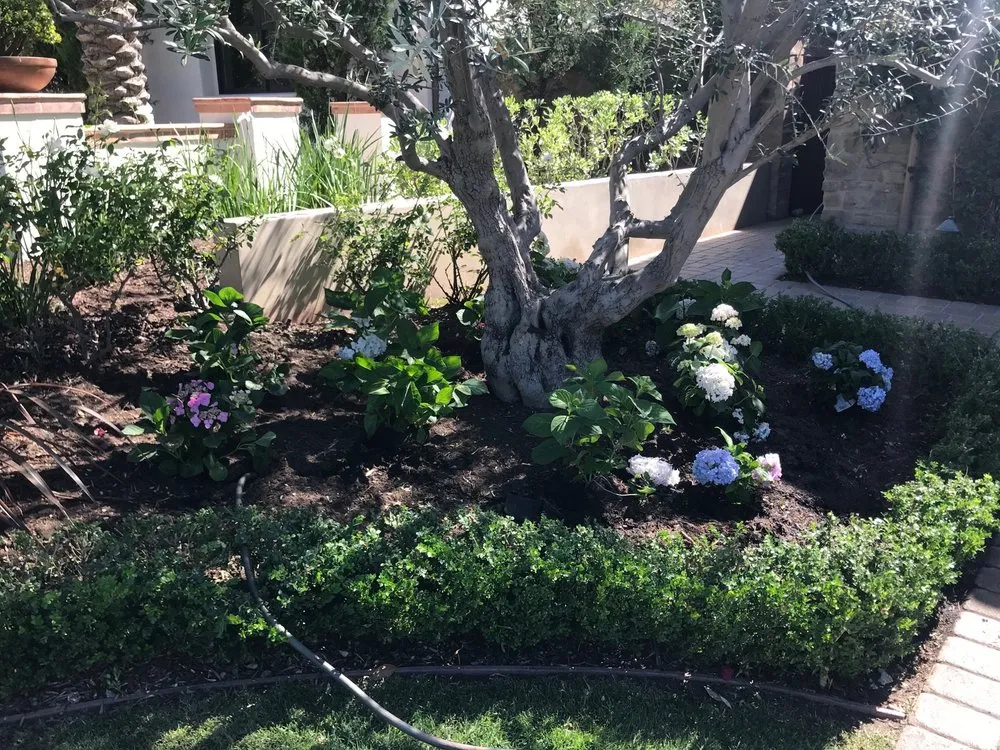 Professional landscape installation experts serving Mission Viejo, CA - Mc landscape