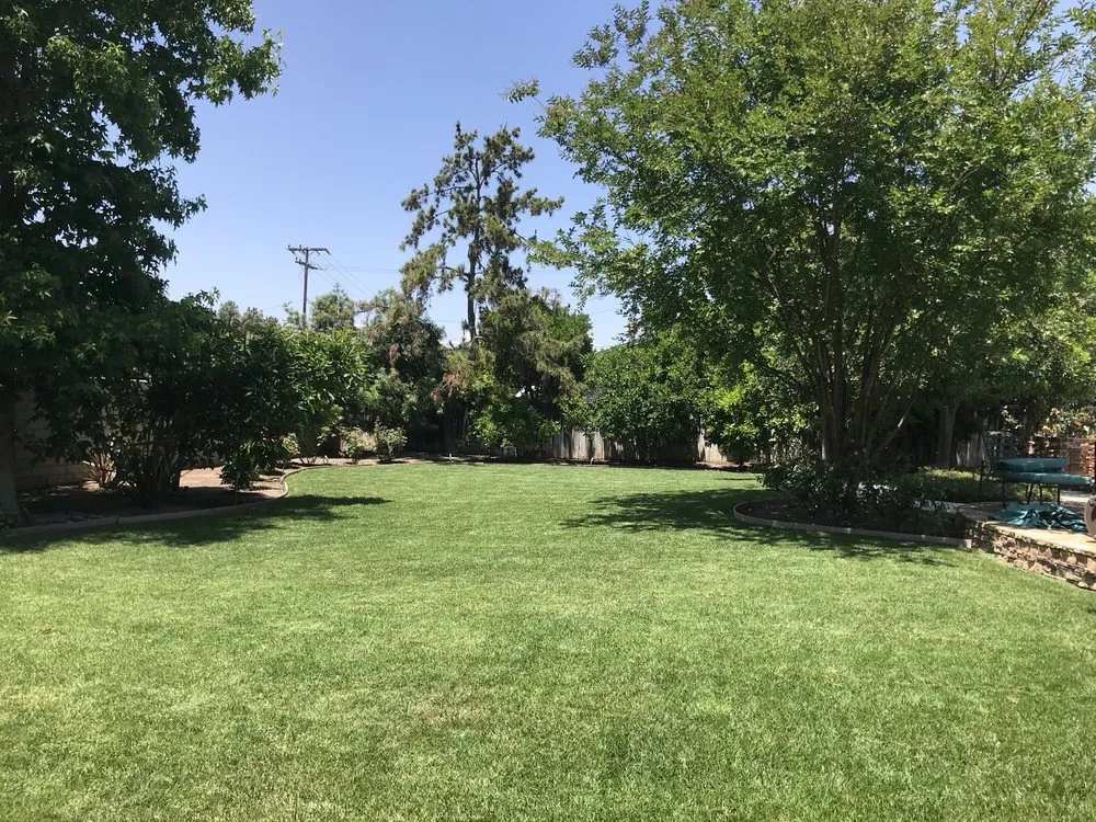 Professional yard cleanup service for residential properties in Mission Viejo, CA by Mc landscape