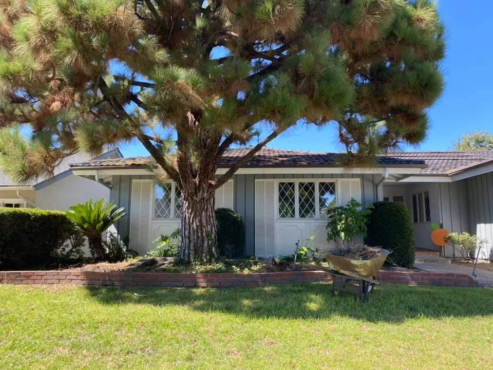 Local yard cleanup service experts serving Mission Viejo, CA - Mc landscape