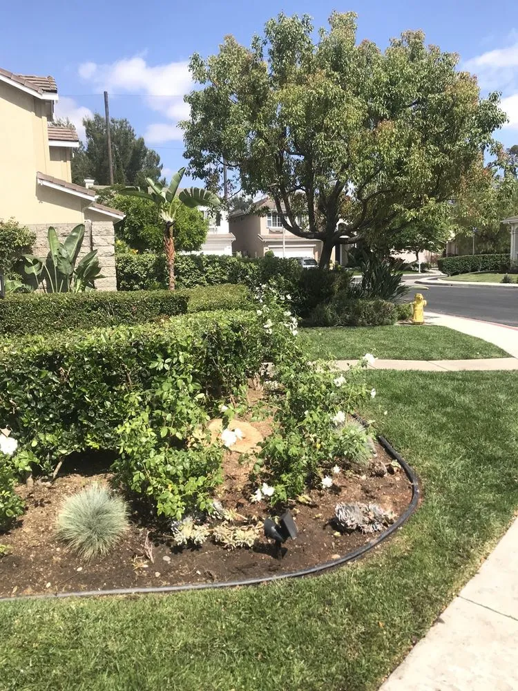 Expert landscaping services for outdoor upgrades in Mission Viejo, CA by Mc landscape