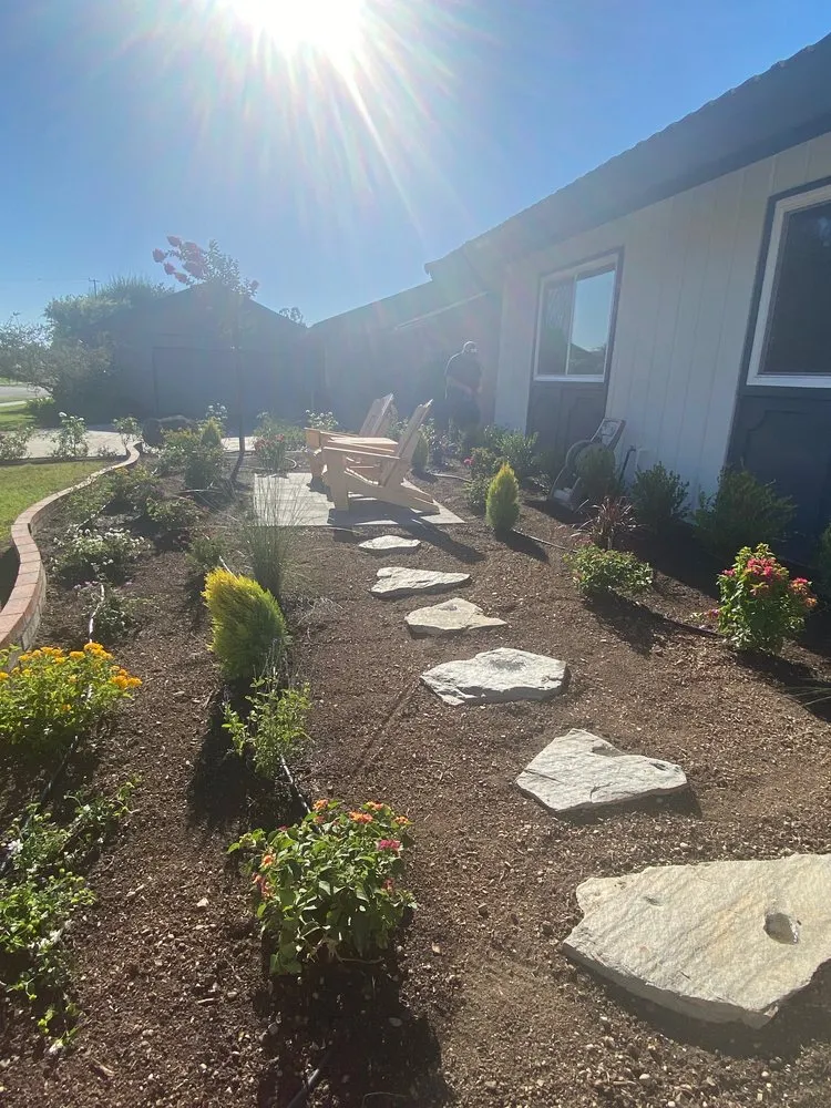 Expert yard maintenance experts serving Mission Viejo, CA - Mc landscape