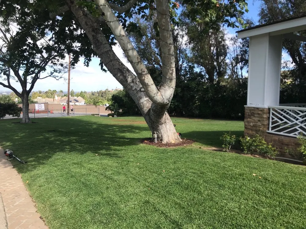 Local landscape design for residential properties in Mission Viejo, CA by Mc landscape