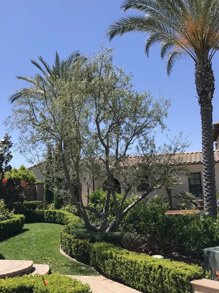 Trusted landscape installation in Mission Viejo, CA by Mc landscape