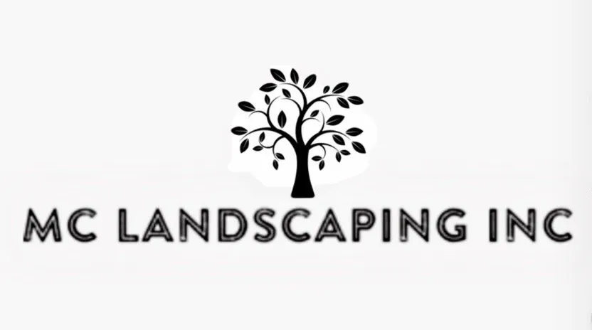 Expert landscaping services near you in Mission Viejo, CA by Mc landscape