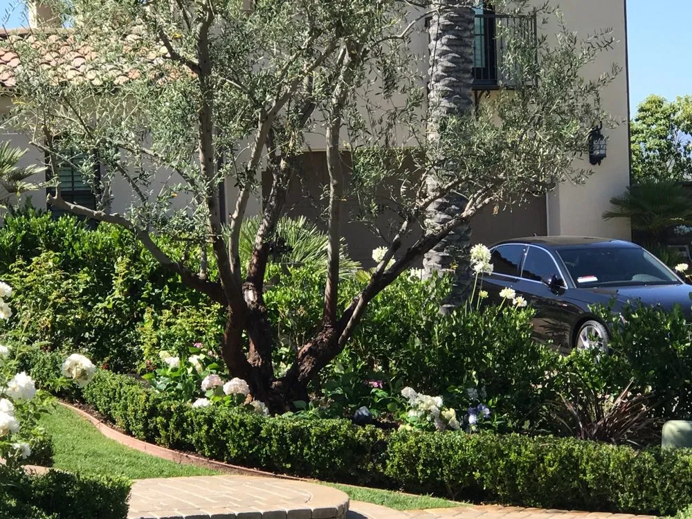 Local landscape installation in Mission Viejo, CA by Mc landscape