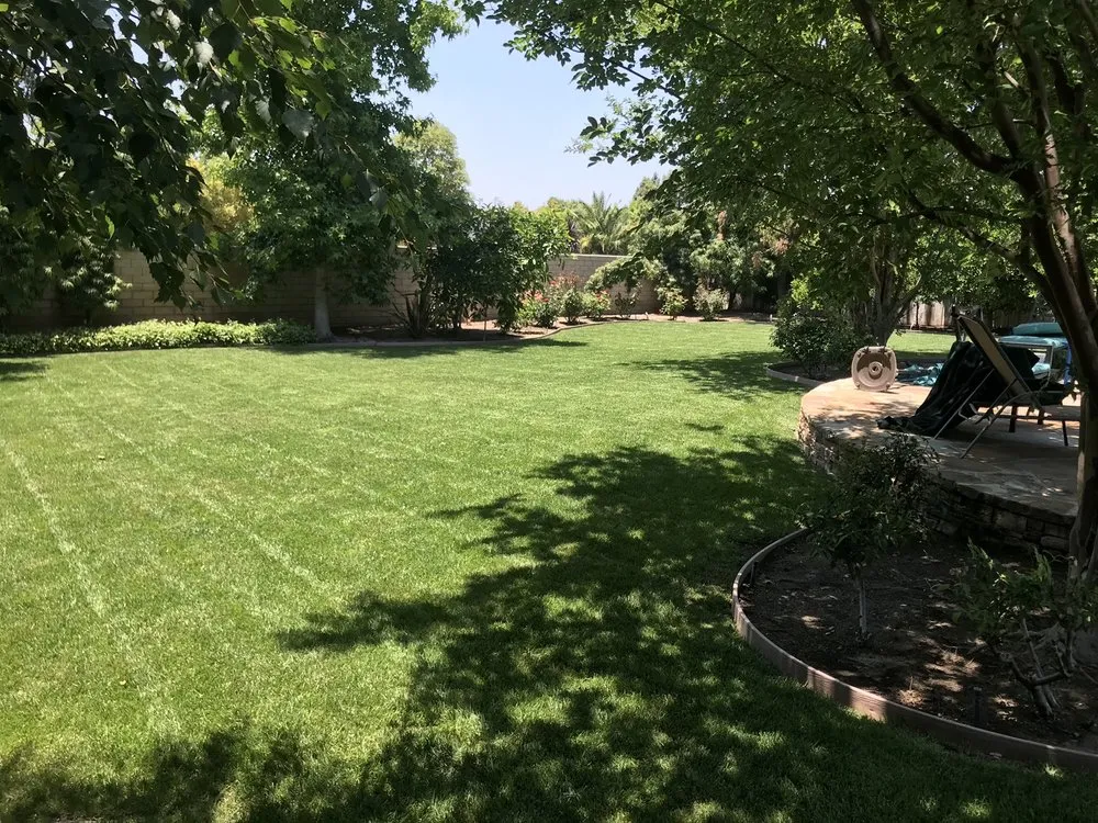 Custom landscaping services in Mission Viejo, CA by Mc landscape