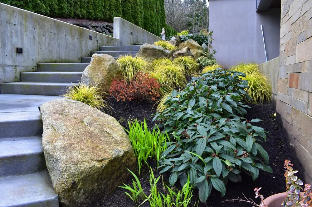 Top-rated landscape design for year-round maintenance across Snohomish, WA - MC Landscape