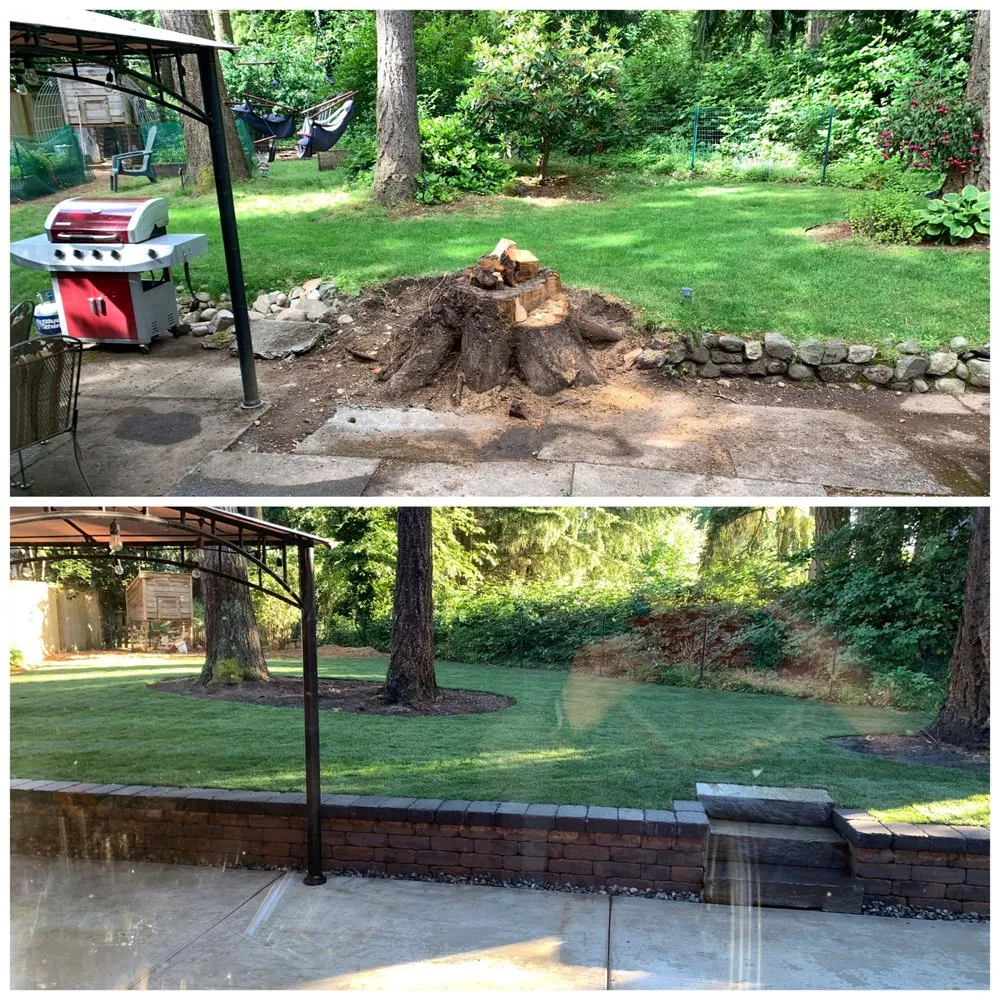 Professional yard cleanup service experts serving Snohomish, WA - MC Landscape