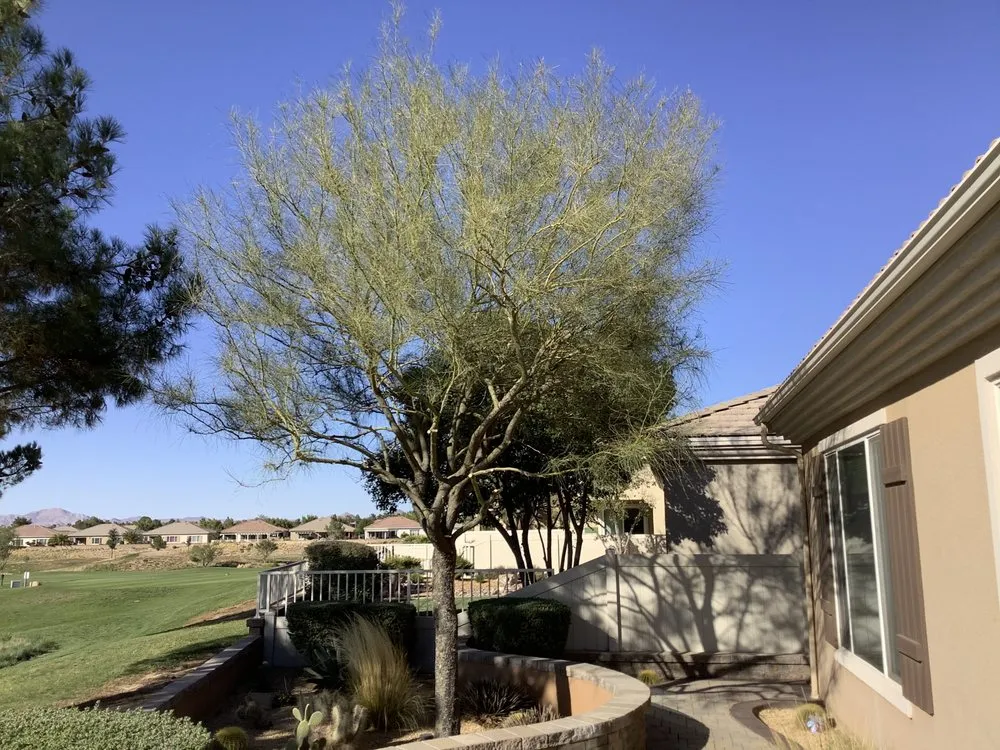 Trusted landscape design in Hesperia, CA by M.C LANDSCAPING & DESIGN