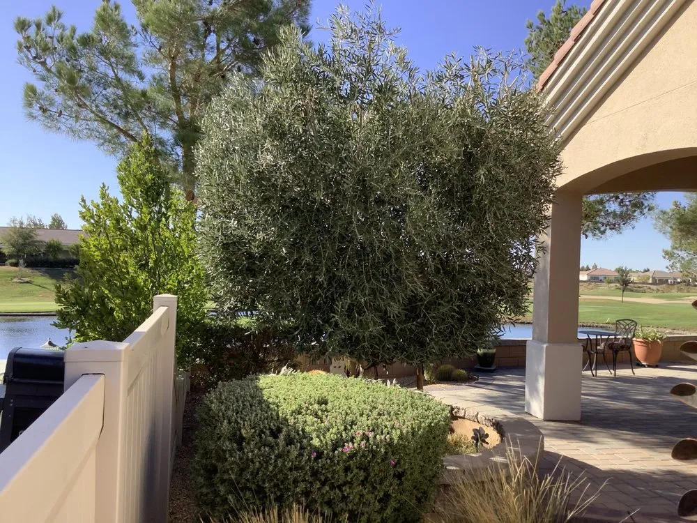 Reliable residential landscaping in Hesperia, CA by M.C LANDSCAPING & DESIGN