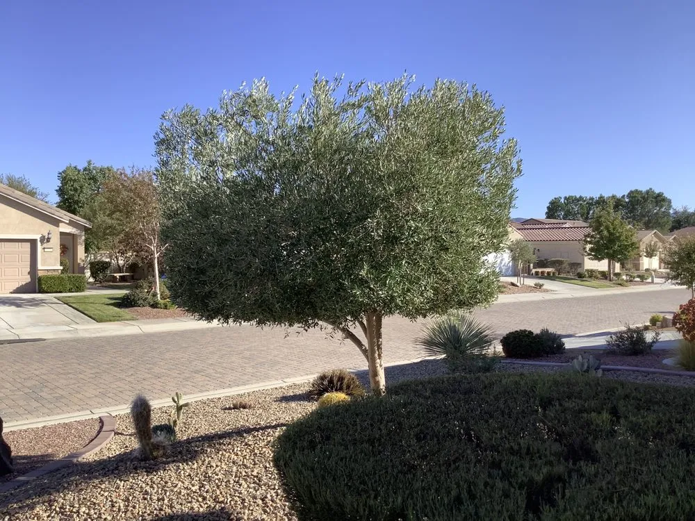 Local lawn mowing service for outdoor upgrades across Hesperia, CA - M.C LANDSCAPING & DESIGN