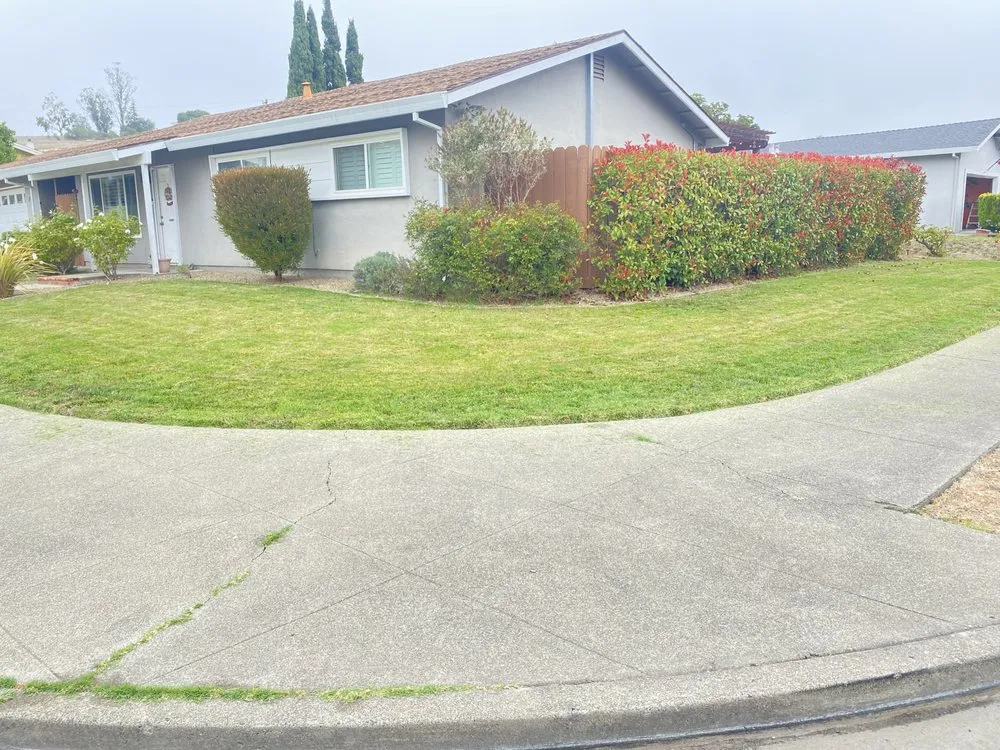 Trusted landscaping services in Fairfield, CA by M&C Landscaping and maintenance services