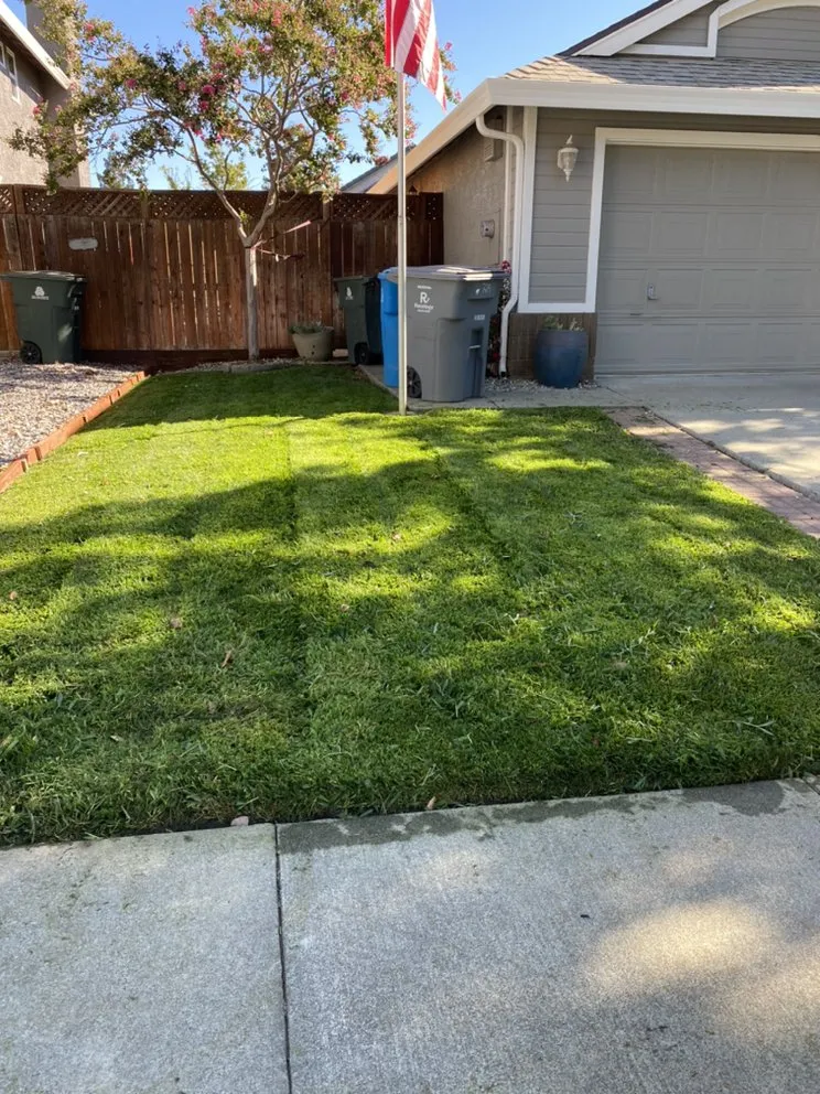 Affordable outdoor landscaping in Fairfield, CA - M&C Landscaping and maintenance services