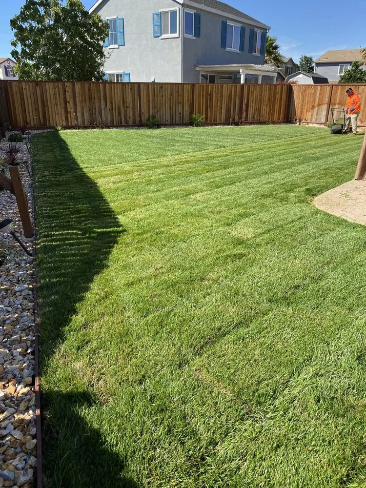 Top-rated landscaping services in Fairfield, CA - M&C Landscaping and maintenance services