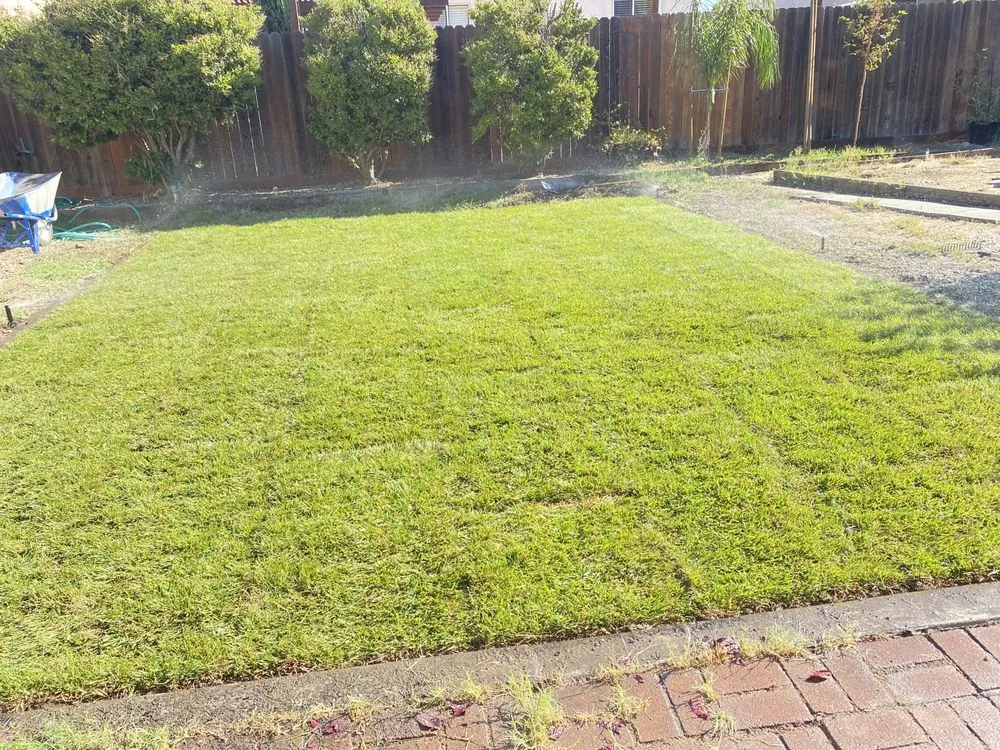 Top-rated lawn care service for residential properties in Fairfield, CA by M&C Landscaping and maintenance services