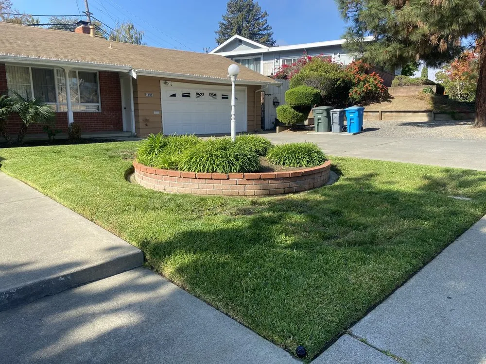 Custom lawn care service for beautiful yards in Fairfield, CA by M&C Landscaping and maintenance services