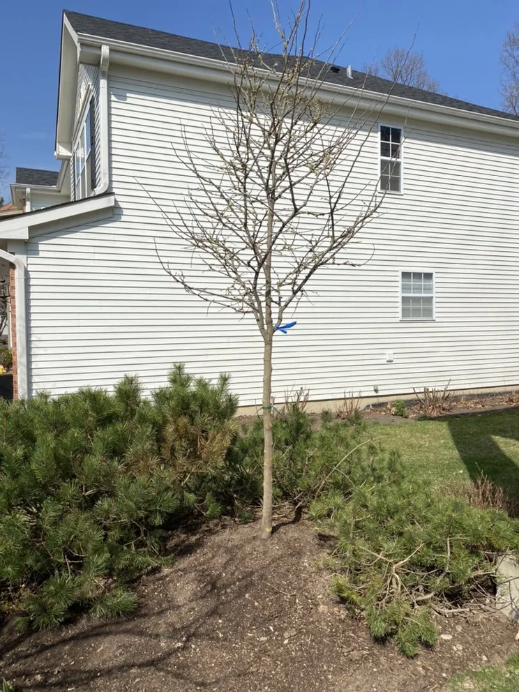 Reliable lawn mowing service for homes in McHenry, IL by M&C Landscaping And Tree Service