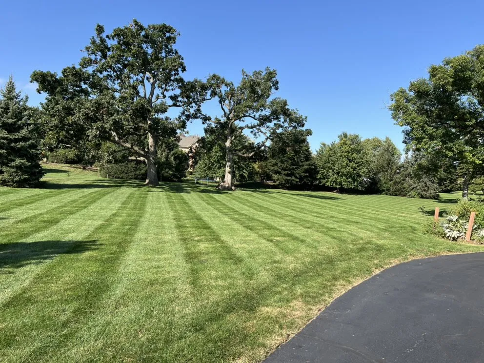 Local yard maintenance in McHenry, IL - M&C Landscaping And Tree Service