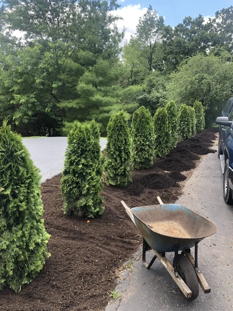 Expert lawn care service in McHenry, IL - M&C Landscaping And Tree Service