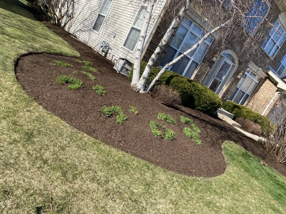Reliable landscape design experts serving McHenry, IL - M&C Landscaping And Tree Service