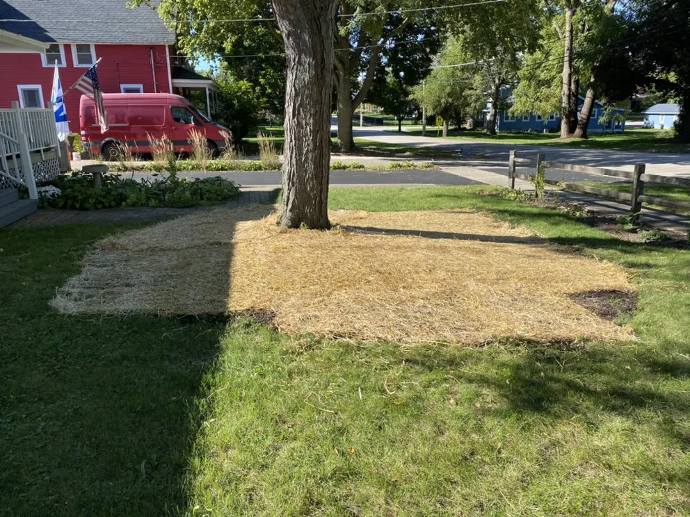 Reliable garden landscaping for year-round maintenance in McHenry, IL by M&C Landscaping And Tree Service