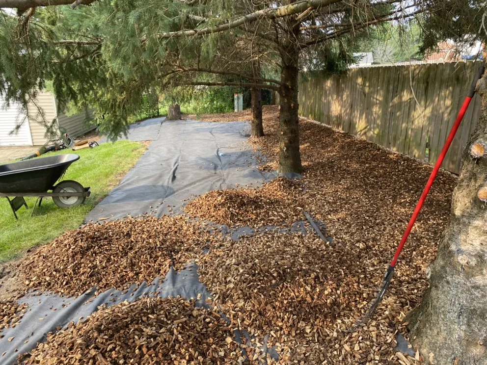 Professional lawn mowing service experts serving McHenry, IL - M&C Landscaping And Tree Service