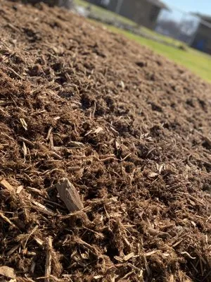 M&C Landscaping And Tree Service