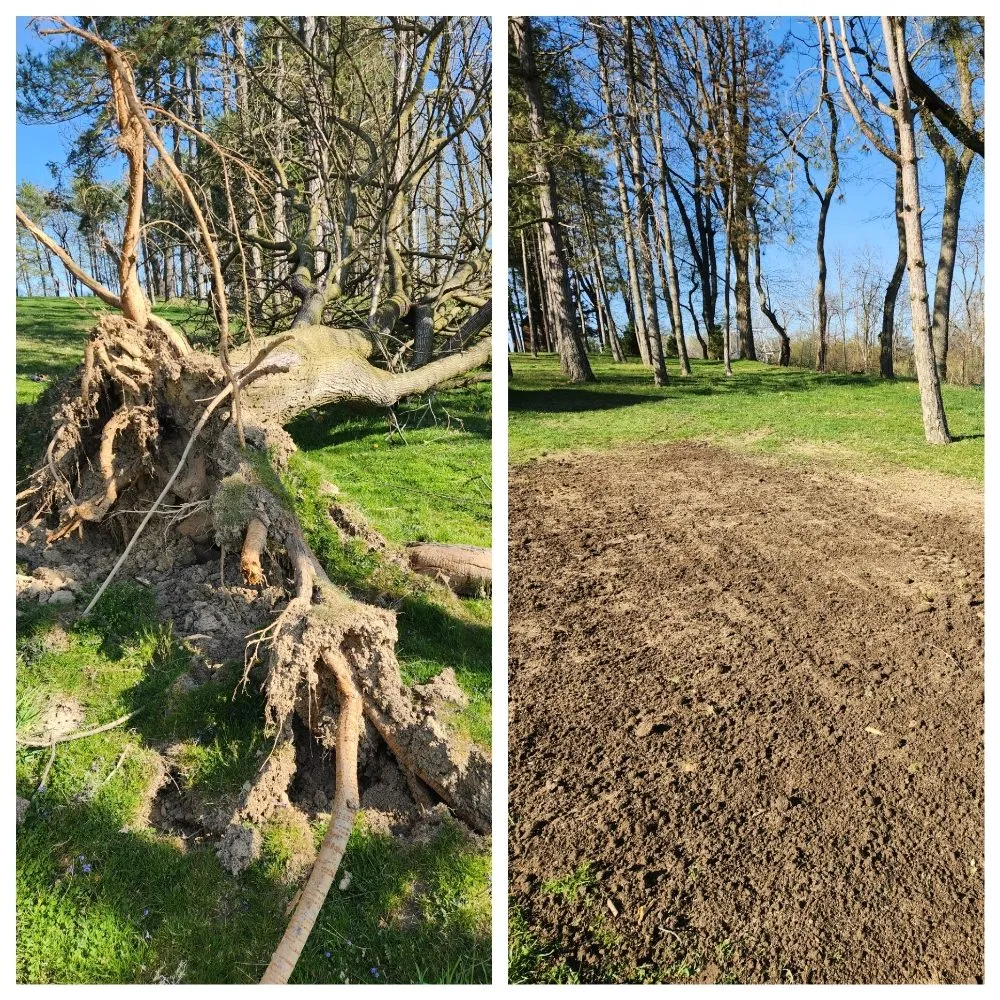 Local outdoor landscaping in Bridgeville, PA by MC Landscaping