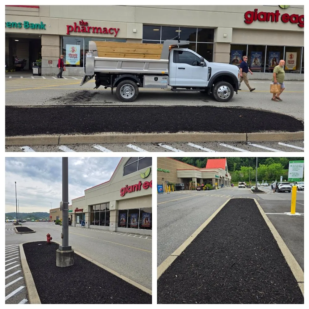 Expert yard cleanup service experts serving Bridgeville, PA - MC Landscaping