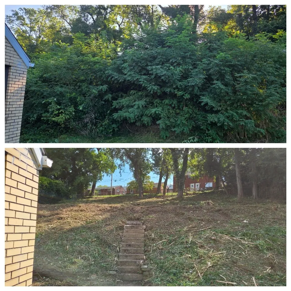 Custom landscaping services experts serving Bridgeville, PA - MC Landscaping