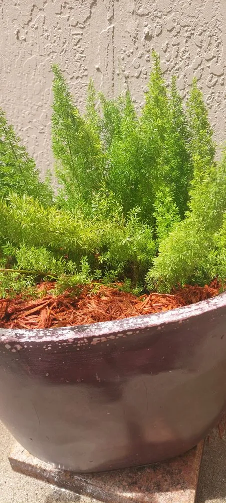 Reliable residential landscaping in Weston, FL - MC Landscaping Design and Services