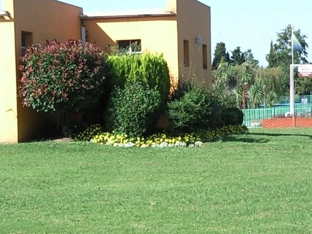 Expert yard cleanup service for beautiful yards in Weston, FL by MC Landscaping Design and Services