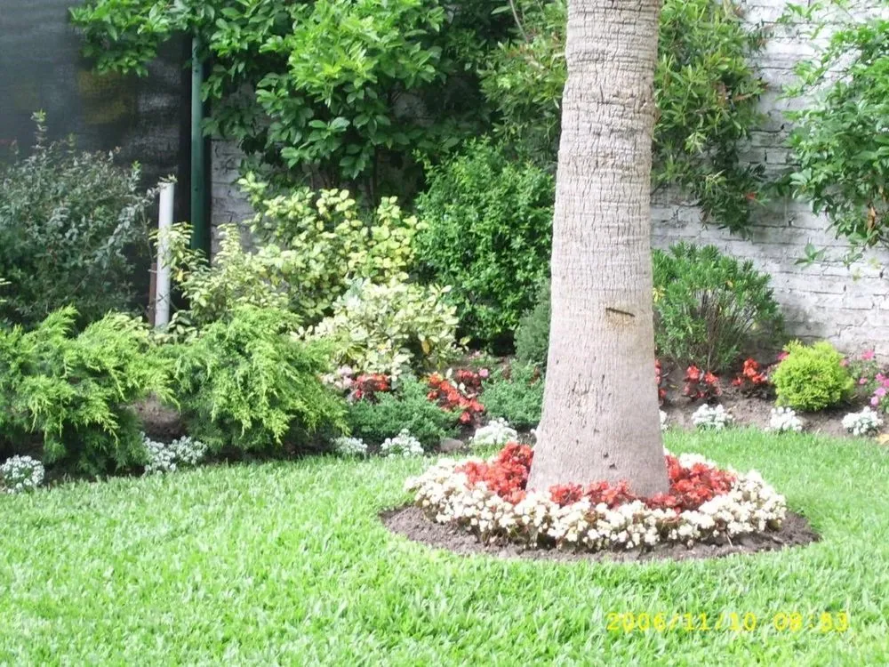 Reliable landscape installation in Weston, FL - MC Landscaping Design and Services