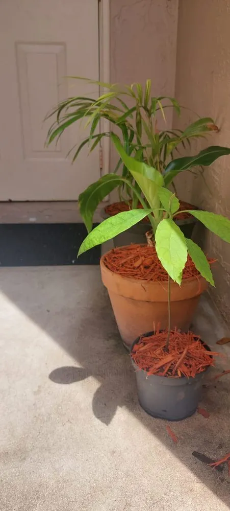 Expert garden landscaping near you across Weston, FL - MC Landscaping Design and Services