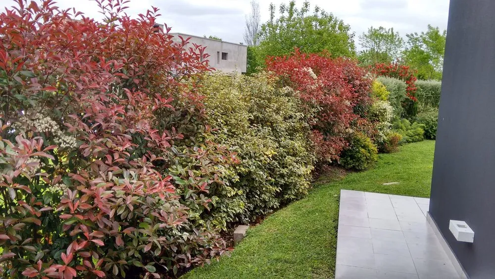 Top-rated landscape installation in Weston, FL - MC Landscaping Design and Services