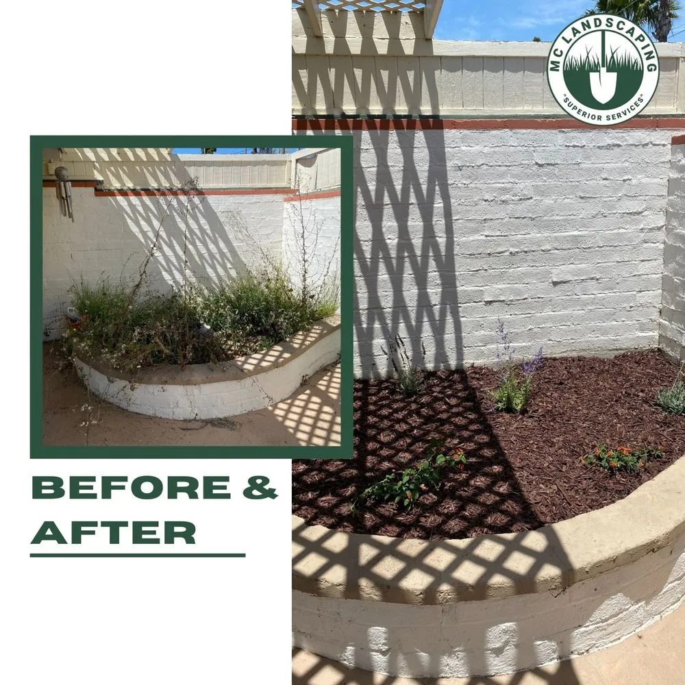 Expert lawn mowing service for residential properties across El Cajon, CA - MC Landscaping