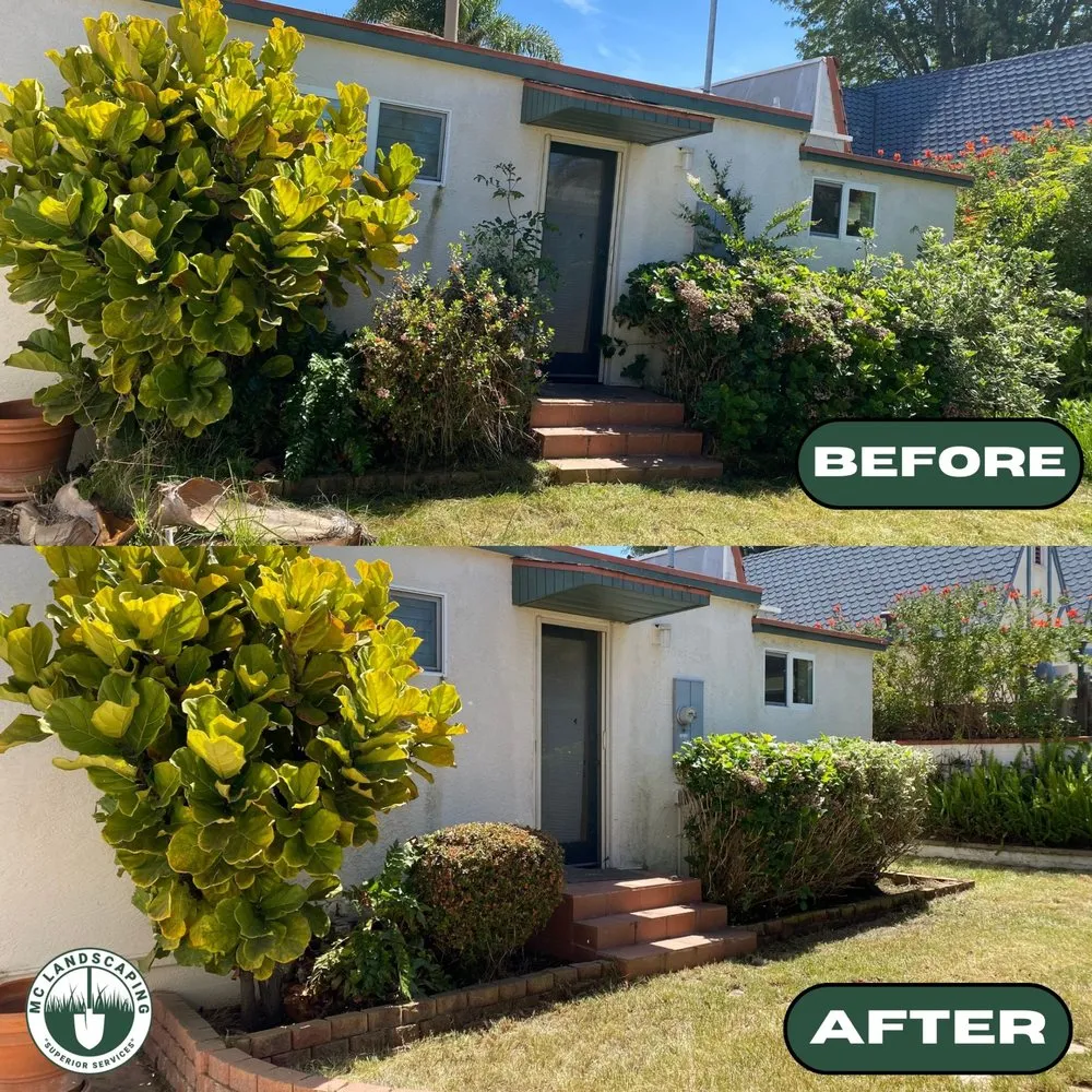 Expert lawn mowing service experts serving El Cajon, CA - MC Landscaping