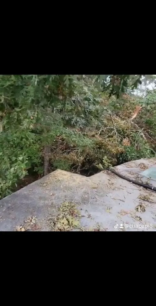 Local yard maintenance in Fletcher, NC by MC Landscaping