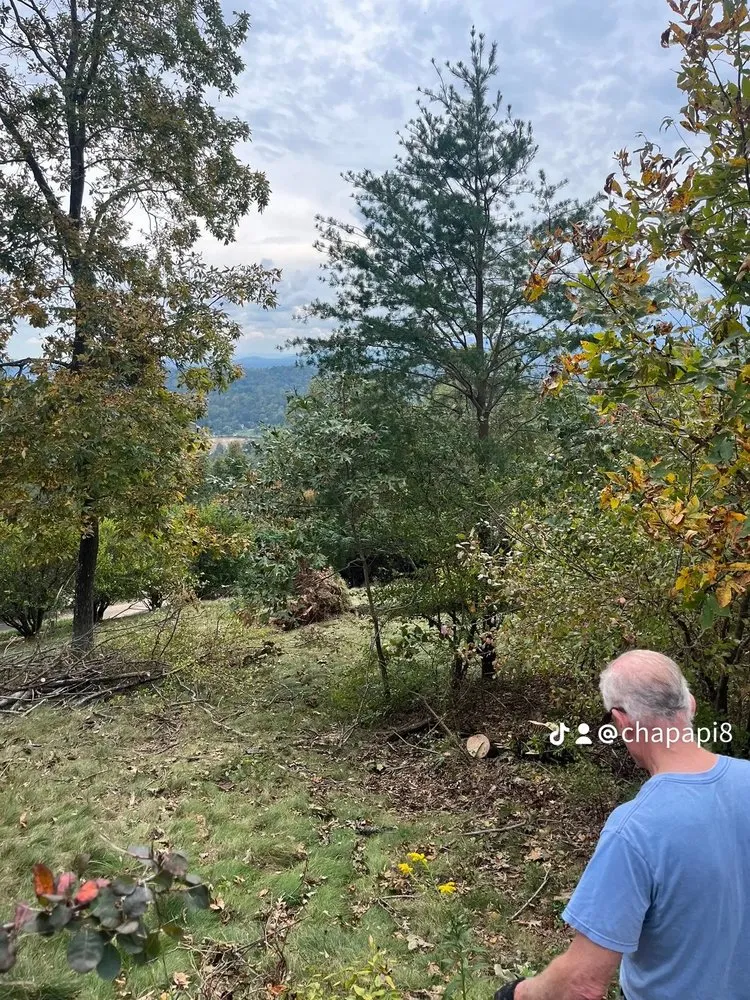 Reliable lawn care service near you in Fletcher, NC by MC Landscaping